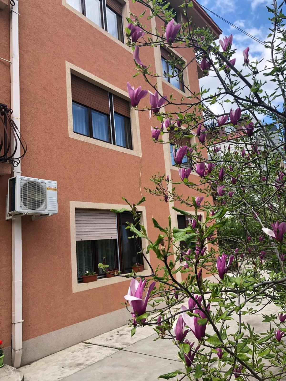 Nela Apartmani Ni Exterior foto